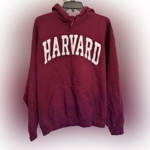 Harvard University Gildan Hoodie, Large